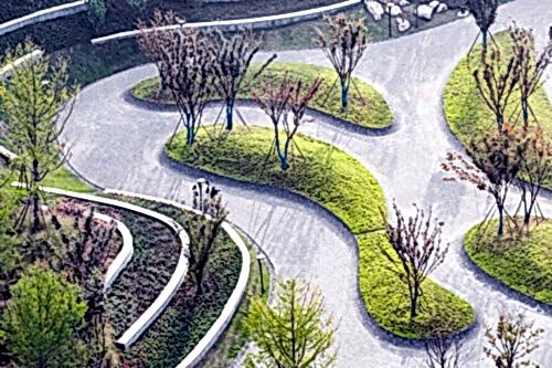 Şehir ve Park Peyzaj Düzenlemeleri